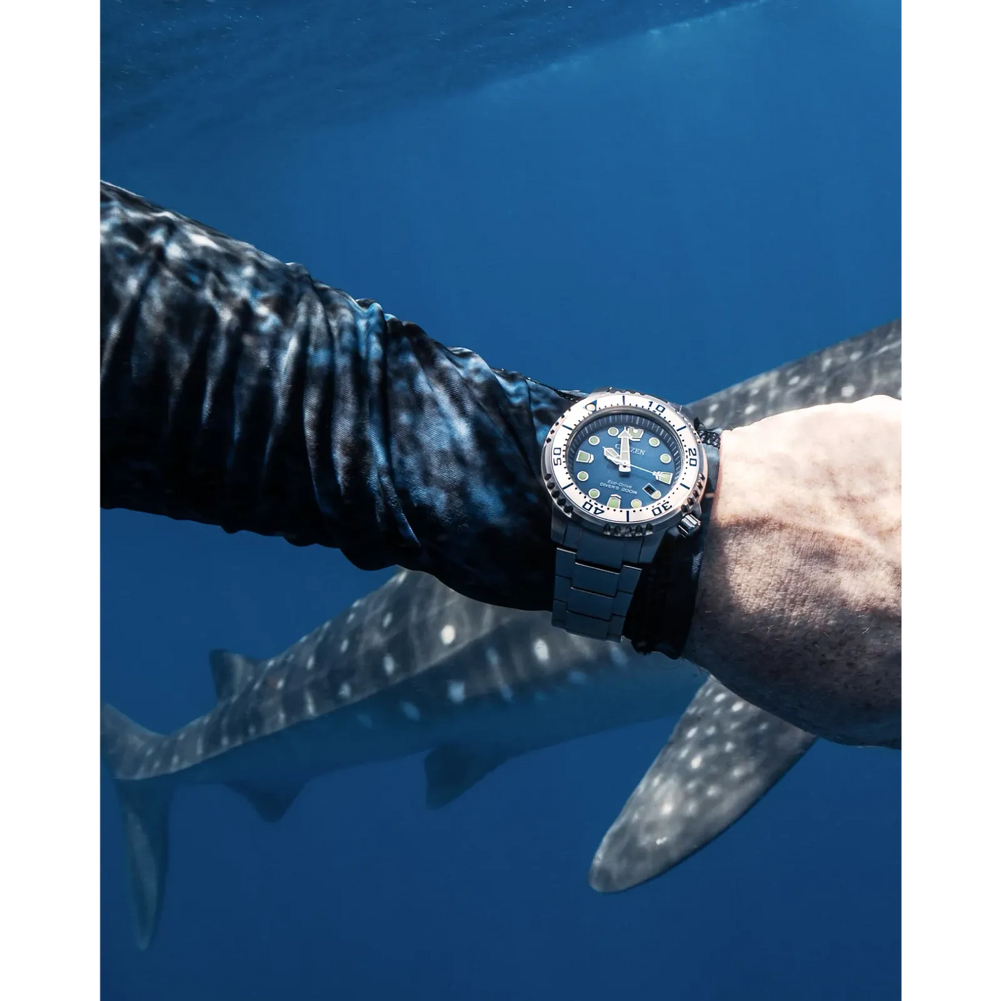 Citizen Promaster Dive Light Blue Men's Watch BN0165-55L